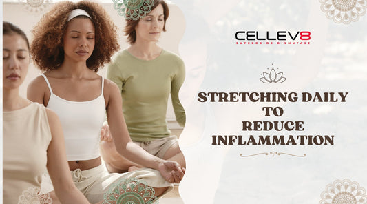 Stretching Daily To Reduce Inflammation - Cellev8 Nutrition, Inc.