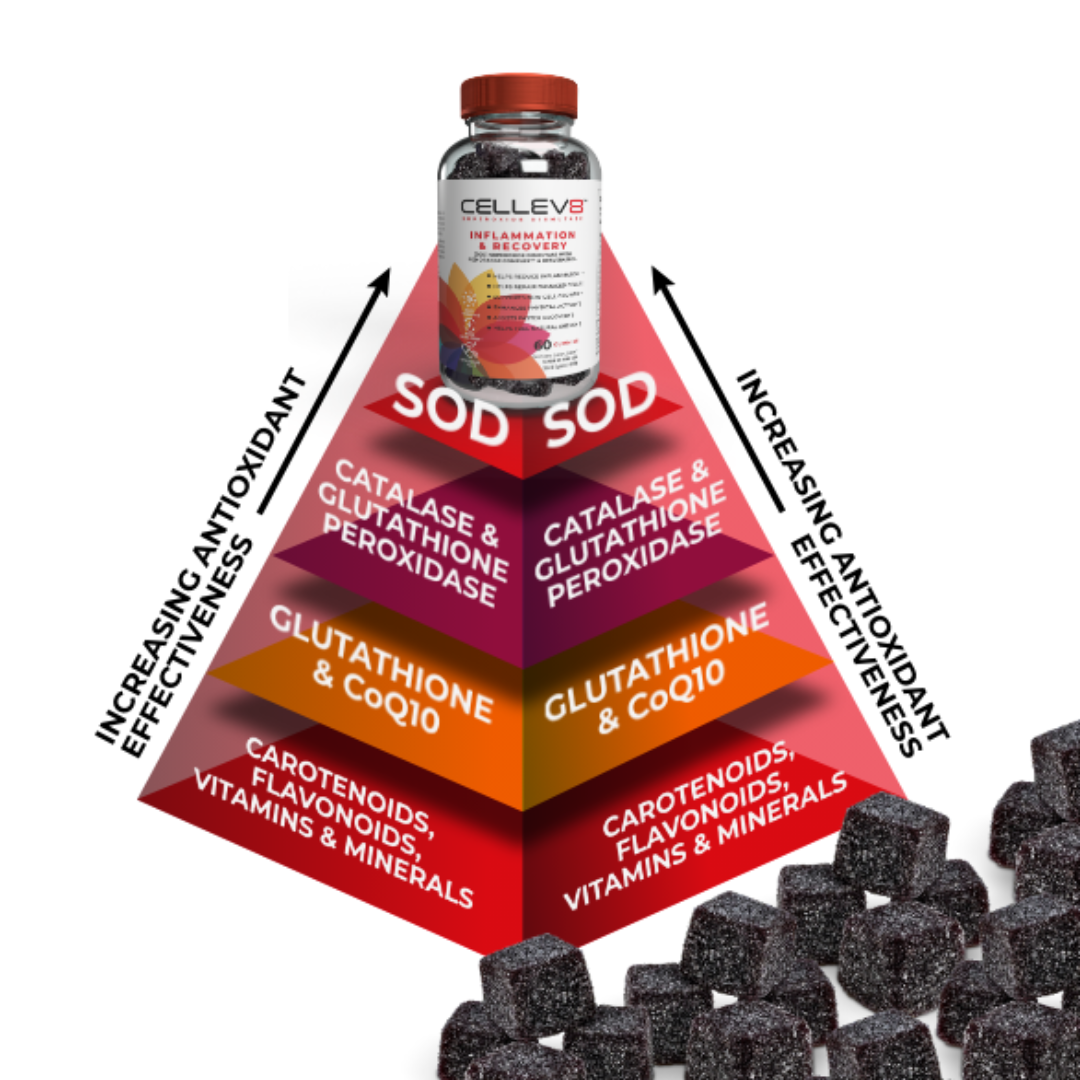 Just Antioxidant pyramid.png__PID:d6035985-8f76-4199-a937-394e728cf1a6