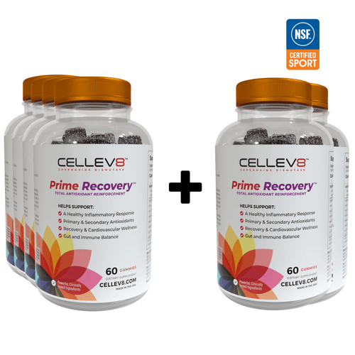 Buy 4, Get 2 FREE 60ct. Prime Recovery Gummies - Cellev8