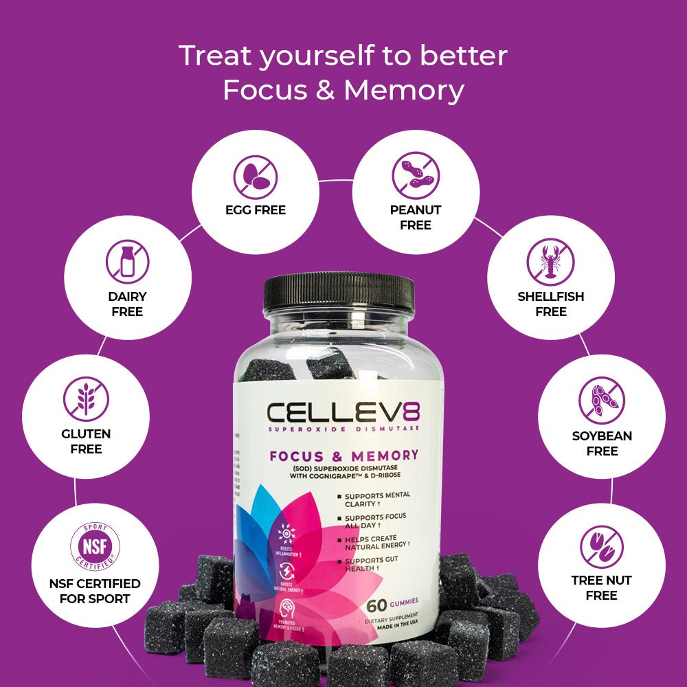 Focus & Memory Gummies (60ct. Bottle) - Cellev8