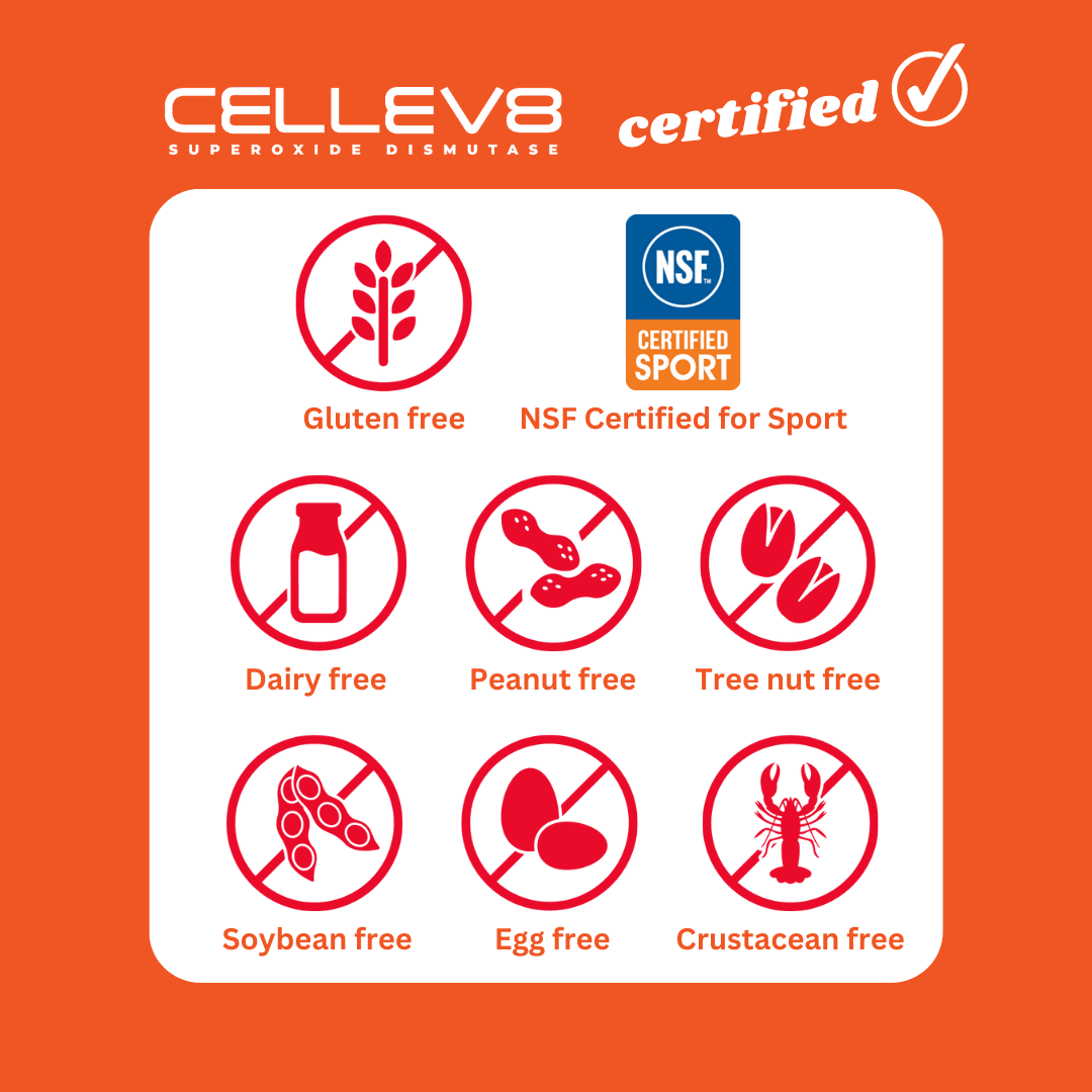 Inflammation & Recovery Gummies (20 4ct. Packs) - Cellev8