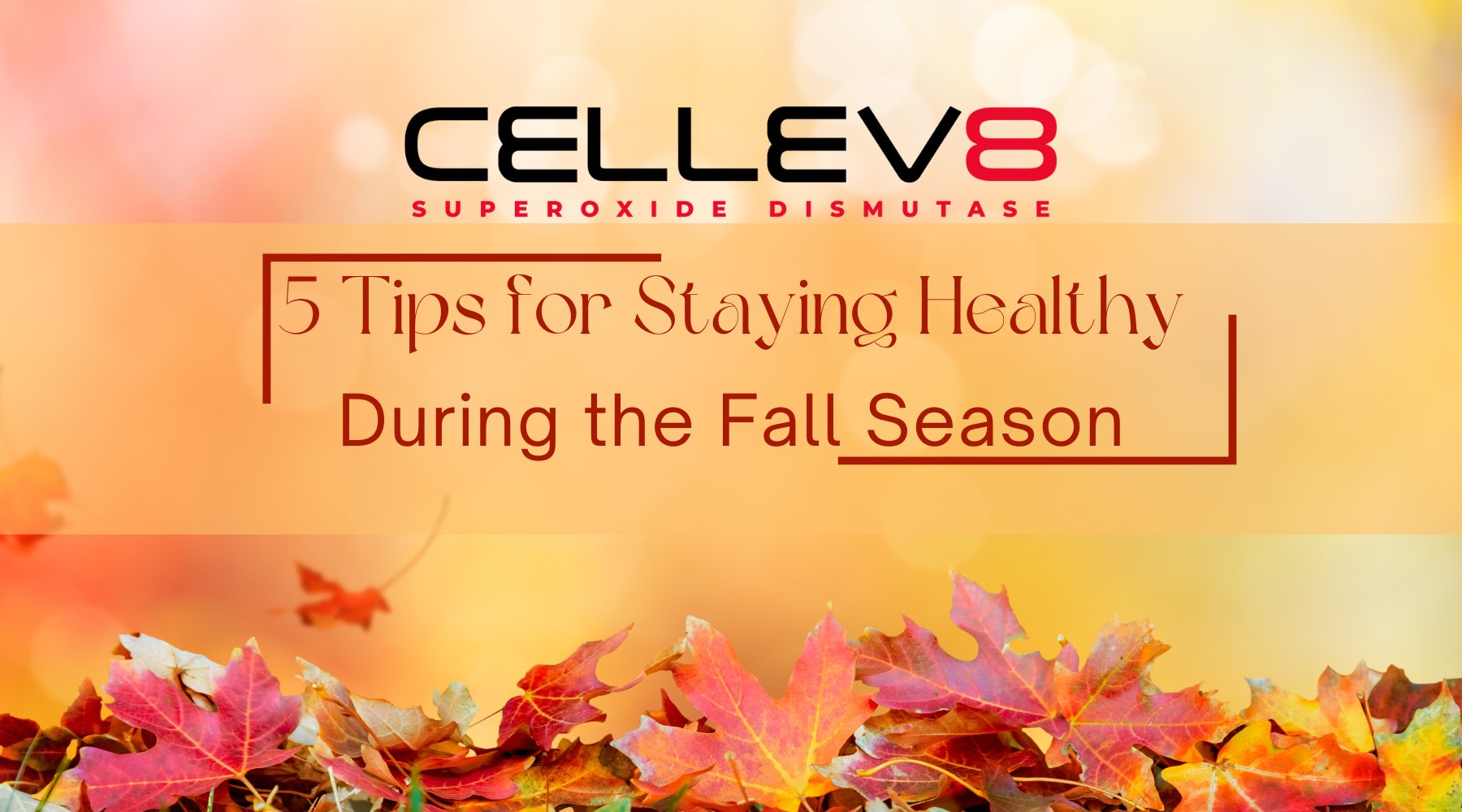 5 Tips for Staying Healthy During the Fall Season – Cellev8 Nutrition, Inc.