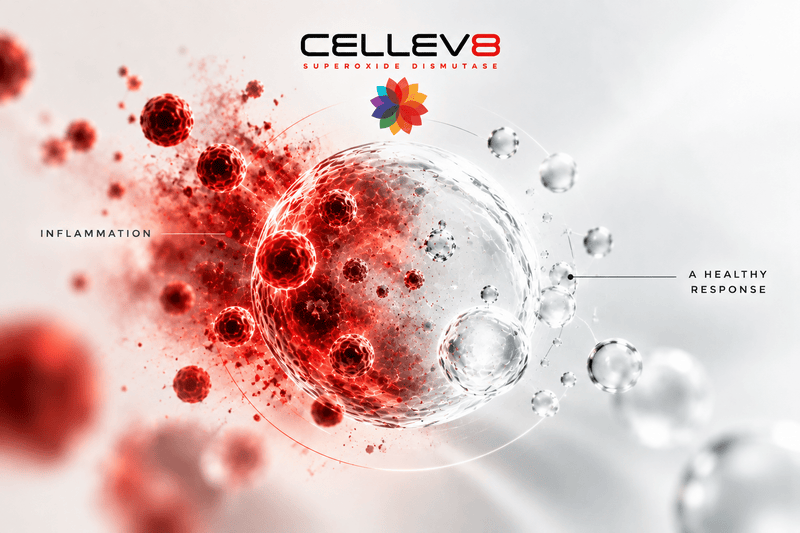 Chronic Inflammation: Causes & 5 Natural Ways to Calm It - Cellev8 Nutrition, Inc.