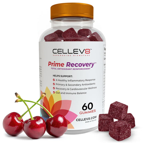 Prime Recovery Gummies (60ct. Bottle)