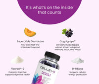 Focus & Memory Gummies (60ct. Bottle)