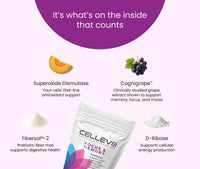 Cellev8 Focus & Memory Gummies Ingredients