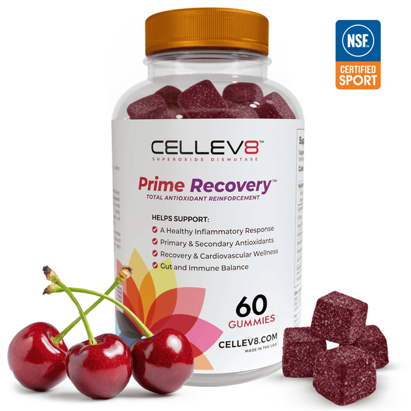 Prime Recovery Gummies (60ct. Bottle) - Cellev8 Nutrition, Inc.