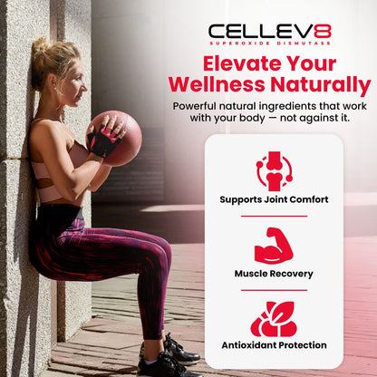 Prime Recovery Gummies (60ct. Bottle) - Cellev8 Nutrition, Inc.