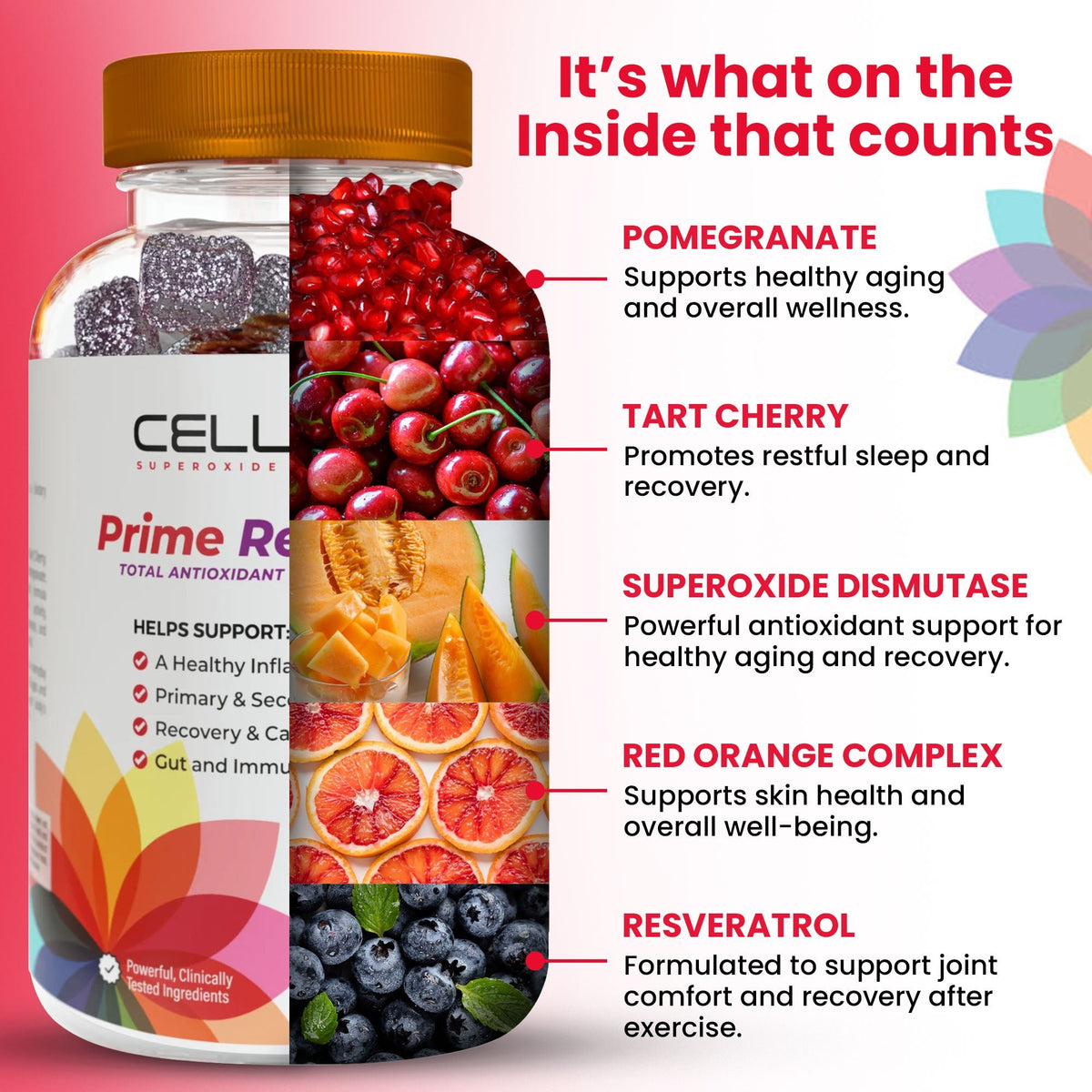 Prime Recovery Gummies (60ct. Bottle) - Cellev8 Nutrition, Inc.