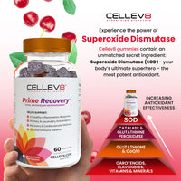 Prime Recovery Gummies (60ct. Bottle) - Cellev8 Nutrition, Inc.