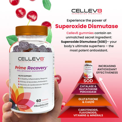 Prime Recovery Gummies (60ct. Bottle) - Cellev8 Nutrition, Inc.