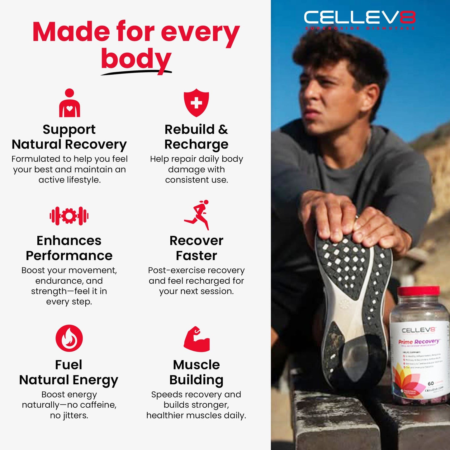 Prime Recovery Gummies (60ct. Bottle) - Cellev8 Nutrition, Inc.