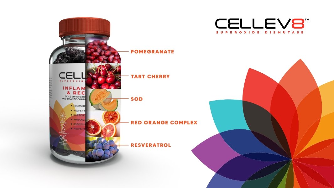 60 ct. Inflammation & Recovery Gummies - Cellev8