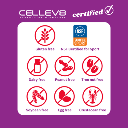 Focus & Memory Gummies (20 4ct. Packs) - Cellev8