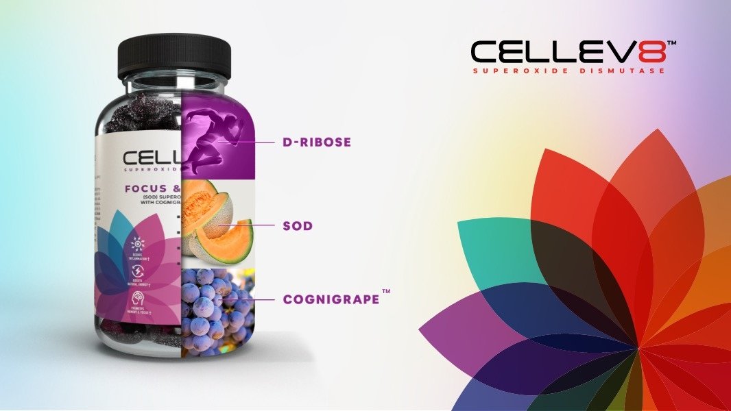 Focus & Memory Gummies (20 4ct. Packs) - Cellev8